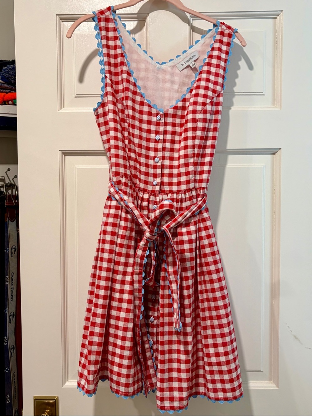 Prosperina Red Gingham Dress with Scallop Trim